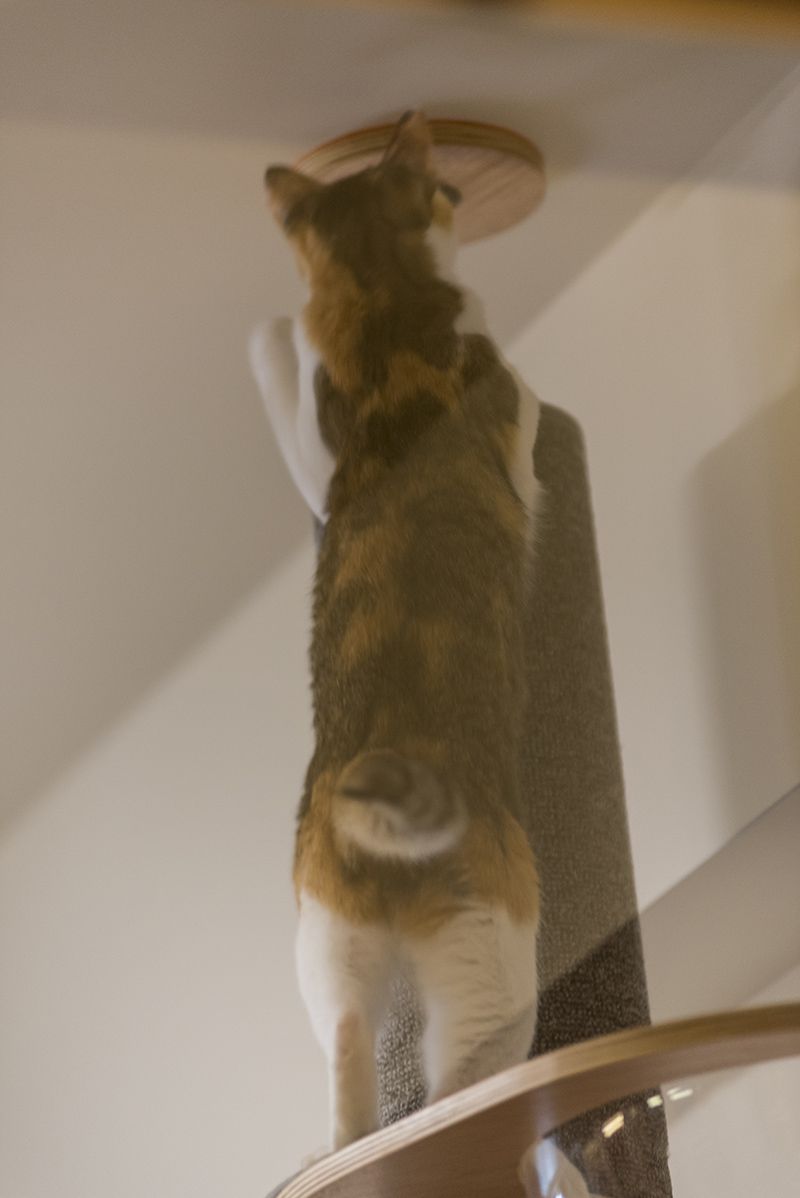 015.jpg